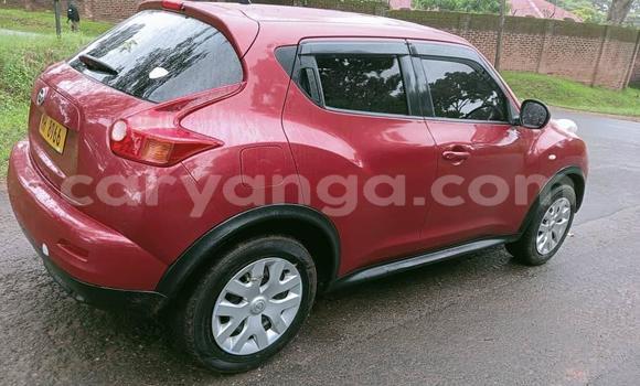 Buy Used Nissan Juke Other Car in Lilongwe in Malawi Buy Used Nissan Juke Other Car in Lilongwe in Malawi