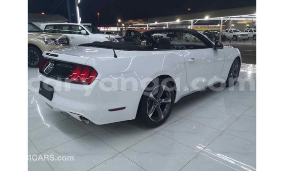 Buy Import Ford Mustang White Car in Import - Dubai in Malawi Buy Import Ford Mustang White Car in Import - Dubai in Malawi