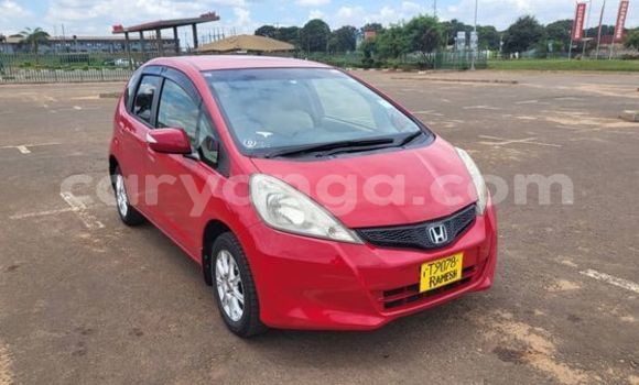Buy Used Honda FIT Red Car in Blantyre in Malawi Buy Used Honda FIT Red Car in Blantyre in Malawi