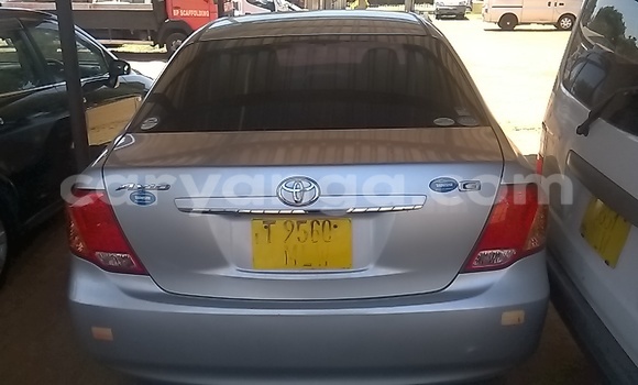 Buy New Toyota Axio Silver Car in Lilongwe in Malawi