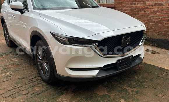 Buy Used Mazda CX-5 White Car in Chiradzulu in Chiradzulu Buy Used Mazda CX-5 White Car in Chiradzulu in Chiradzulu