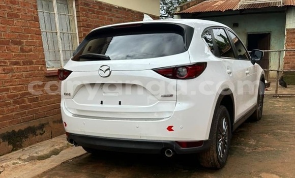 Buy Used Mazda CX-5 White Car in Chiradzulu in Chiradzulu Buy Used Mazda CX-5 White Car in Chiradzulu in Chiradzulu