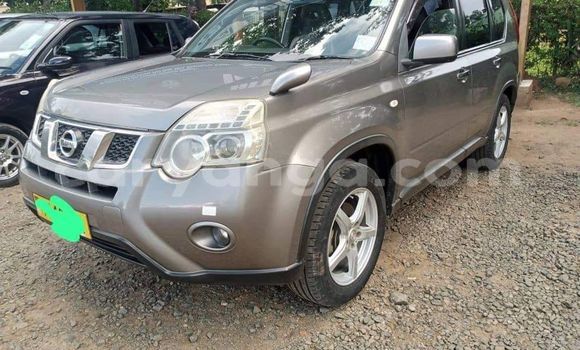 Buy Used Nissan X–Trail Other Car in Chiradzulu in Chiradzulu Buy Used Nissan X–Trail Other Car in Chiradzulu in Chiradzulu