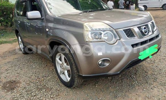 Buy Used Nissan X–Trail Other Car in Chiradzulu in Chiradzulu Buy Used Nissan X–Trail Other Car in Chiradzulu in Chiradzulu
