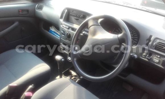 Buy Used Toyota Probox Black Car in Limbe in Malawi Buy Used Toyota Probox Black Car in Limbe in Malawi
