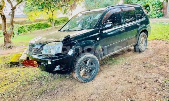 Buy Used Nissan X–Trail Other Car in Blantyre in Malawi Buy Used Nissan X–Trail Other Car in Blantyre in Malawi