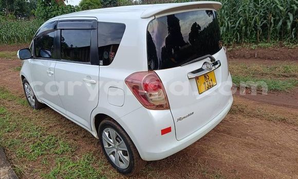 Acheter Occasion Voiture Toyota Ractis Autre à Lilongwe, Malawi Acheter Occasion Voiture Toyota Ractis Autre à Lilongwe, Malawi