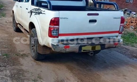 Buy Used Toyota Allex Other Car in Lilongwe in Malawi Buy Used Toyota Allex Other Car in Lilongwe in Malawi