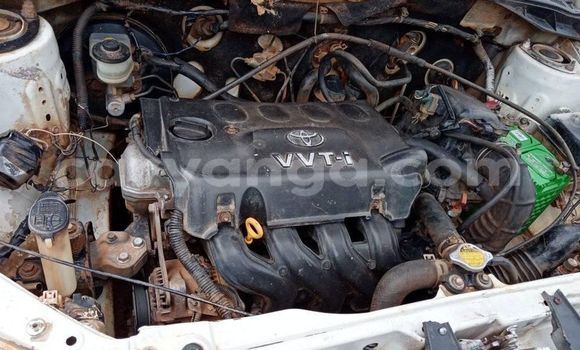 Buy Used Toyota Probox White Car in Chiradzulu in Chiradzulu Buy Used Toyota Probox White Car in Chiradzulu in Chiradzulu