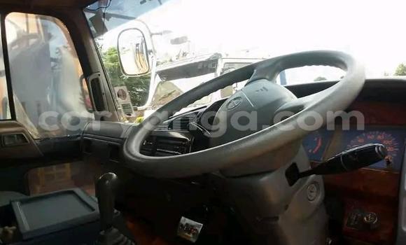 Buy Used Hino Dutro Other Truck in Chikwawa in Chikwawa