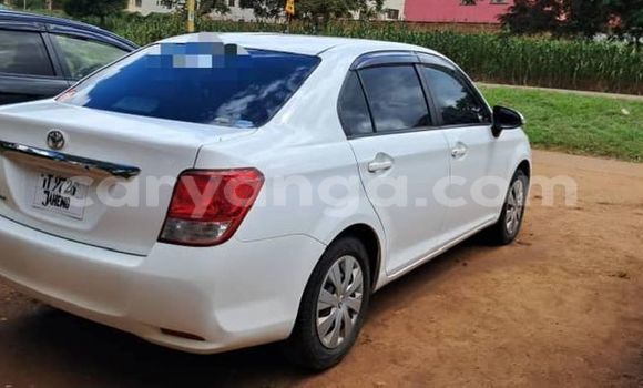 Nunua Ilio tumika Toyota Axio Other Gari ndani ya Blantyre nchini Malawi Nunua Ilio tumika Toyota Axio Other Gari ndani ya Blantyre nchini Malawi