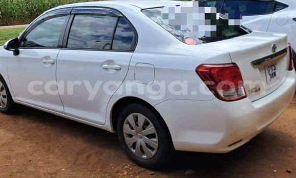 Acheter Occasion Voiture Toyota Axio Blanc à Chiradzulu, Chiradzulu Acheter Occasion Voiture Toyota Axio Blanc à Chiradzulu, Chiradzulu