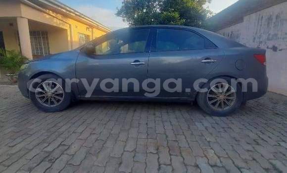Acheter Occasion Voiture Kia Cerato Autre à Chilumba, Karonga Acheter Occasion Voiture Kia Cerato Autre à Chilumba, Karonga