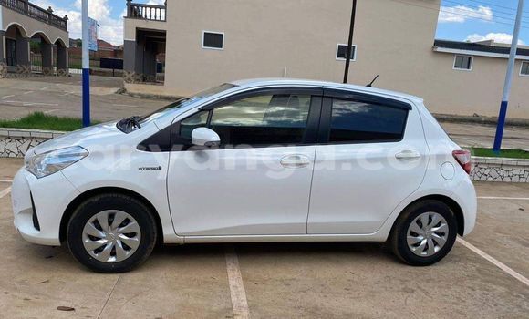 Acheter Occasion Voiture Toyota Vitz Blanc à Chipoka, Dedza Acheter Occasion Voiture Toyota Vitz Blanc à Chipoka, Dedza