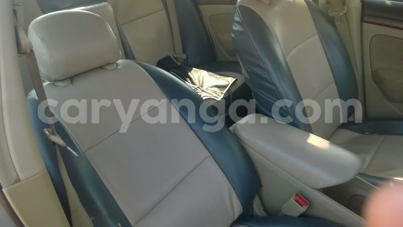 Big with watermark wp 20160921 012