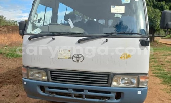 Buy Used Toyota Coaster White Car in Chilumba in Karonga Buy Used Toyota Coaster White Car in Chilumba in Karonga