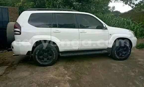Buy Used Toyota Prado Other Car in Blantyre in Malawi Buy Used Toyota Prado Other Car in Blantyre in Malawi