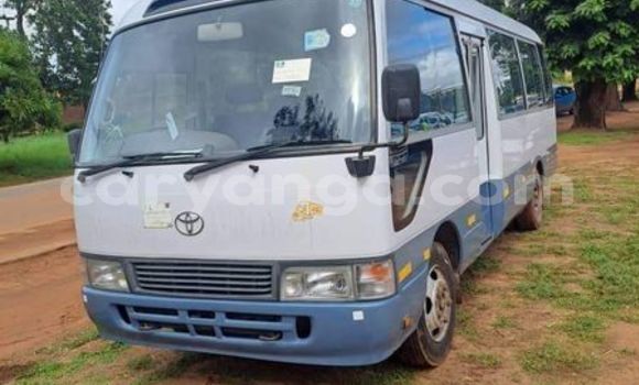 Acheter Occasion Voiture Toyota Coaster Autre à Blantyre, Malawi Acheter Occasion Voiture Toyota Coaster Autre à Blantyre, Malawi