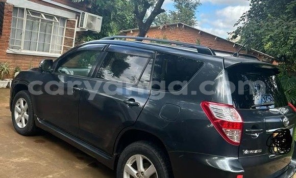 Nunua Ilio tumika Toyota Vanguard Black Gari ndani ya Chilumba nchini Karonga Nunua Ilio tumika Toyota Vanguard Black Gari ndani ya Chilumba nchini Karonga