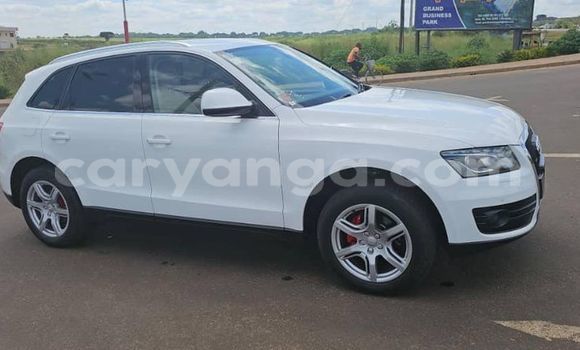 Buy Used Audi Q5 White Car in Chilumba in Karonga Buy Used Audi Q5 White Car in Chilumba in Karonga