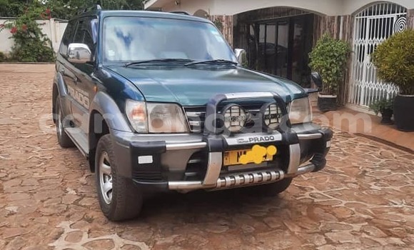 Buy Used Toyota Land Cruiser Other Car in Lilongwe in Malawi Buy Used Toyota Land Cruiser Other Car in Lilongwe in Malawi