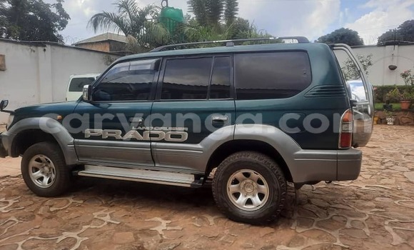 Buy Used Toyota Land Cruiser Other Car in Lilongwe in Malawi Buy Used Toyota Land Cruiser Other Car in Lilongwe in Malawi