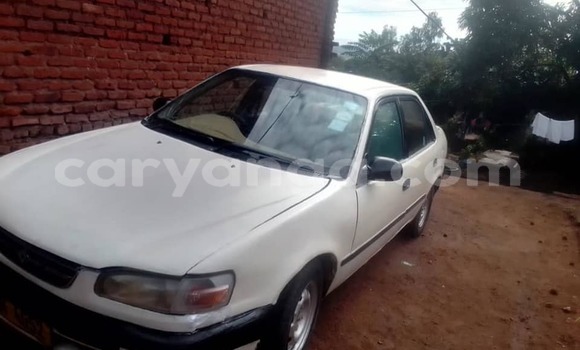Nunua Ilio tumika Toyota Corolla White Gari ndani ya Lilongwe nchini Malawi Nunua Ilio tumika Toyota Corolla White Gari ndani ya Lilongwe nchini Malawi