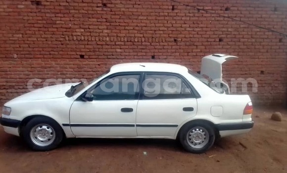 Nunua Ilio tumika Toyota Corolla White Gari ndani ya Lilongwe nchini Malawi Nunua Ilio tumika Toyota Corolla White Gari ndani ya Lilongwe nchini Malawi