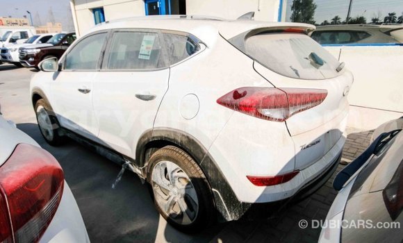 Buy Import Hyundai Tucson White Car in Import - Dubai in Malawi Buy Import Hyundai Tucson White Car in Import - Dubai in Malawi