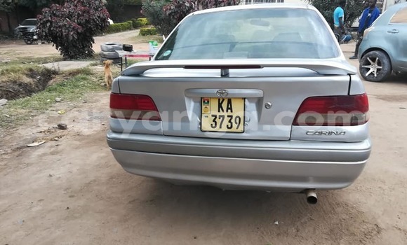 Nunua Ilio tumika Toyota Carina Other Gari ndani ya Chiradzulu nchini Chiradzulu Nunua Ilio tumika Toyota Carina Other Gari ndani ya Chiradzulu nchini Chiradzulu