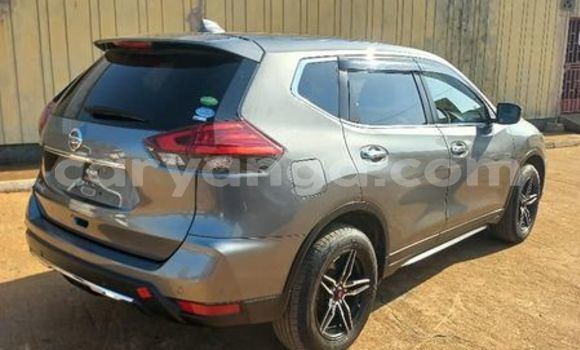 Buy Used Nissan X–Trail Other Car in Blantyre in Malawi Buy Used Nissan X–Trail Other Car in Blantyre in Malawi