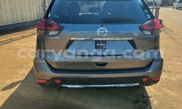 Acheter Occasion Voiture Nissan X–Trail Autre à Blantyre, Malawi Acheter Occasion Voiture Nissan X–Trail Autre à Blantyre, Malawi