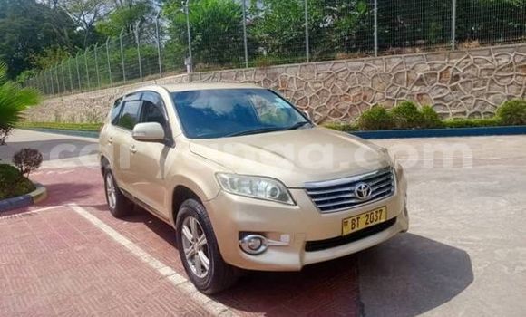 Buy Used Toyota Vanguard Other Car in Lilongwe in Malawi Buy Used Toyota Vanguard Other Car in Lilongwe in Malawi