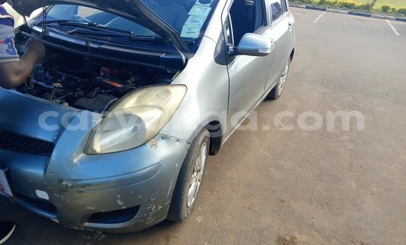 Buy Used Toyota Vitz Other Car in Chiradzulu in Chiradzulu Buy Used Toyota Vitz Other Car in Chiradzulu in Chiradzulu