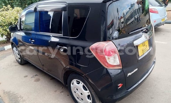 Nunua Ilio tumika Toyota Ractis Black Gari ndani ya Chilumba nchini Karonga Nunua Ilio tumika Toyota Ractis Black Gari ndani ya Chilumba nchini Karonga