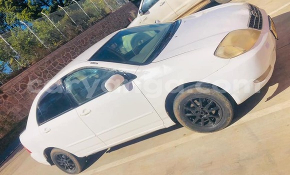Nunua Ilio tumika Toyota Corolla White Gari ndani ya Chitipa nchini Chitipa Nunua Ilio tumika Toyota Corolla White Gari ndani ya Chitipa nchini Chitipa