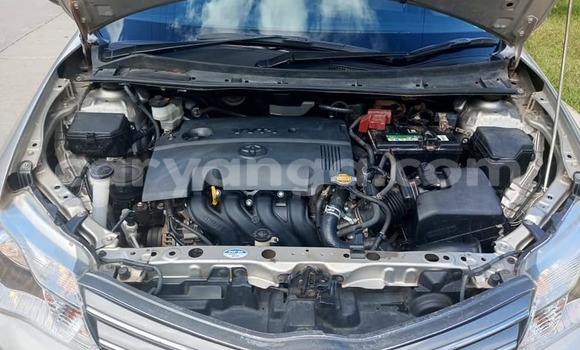 Nunua Ilio tumika Toyota Axio Other Gari ndani ya Chitipa nchini Chitipa Nunua Ilio tumika Toyota Axio Other Gari ndani ya Chitipa nchini Chitipa