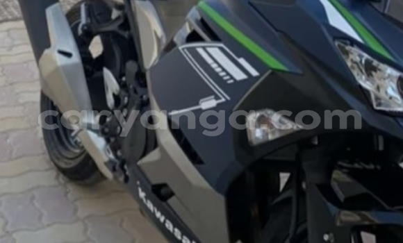 Buy Used Kawasaki Ninja Silver Bike in Blantyre in Malawi Buy Used Kawasaki Ninja Silver Bike in Blantyre in Malawi
