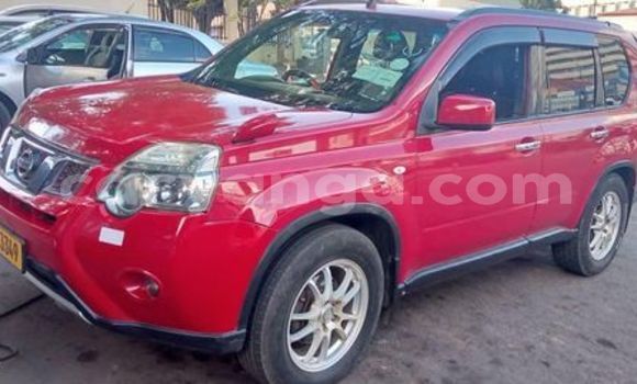 Buy Used Nissan X–Trail Red Car in Blantyre in Malawi Buy Used Nissan X–Trail Red Car in Blantyre in Malawi