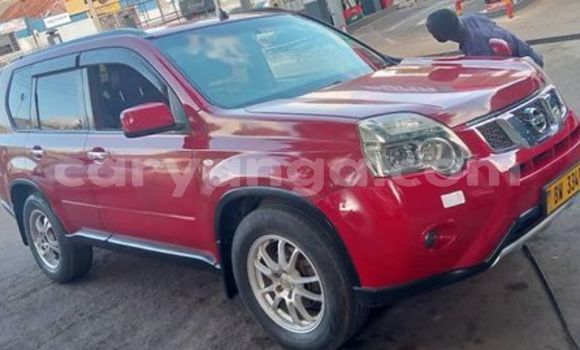 Buy Used Nissan X–Trail Red Car in Blantyre in Malawi Buy Used Nissan X–Trail Red Car in Blantyre in Malawi