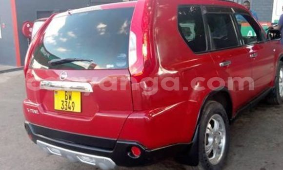 Buy Used Nissan X–Trail Red Car in Blantyre in Malawi Buy Used Nissan X–Trail Red Car in Blantyre in Malawi