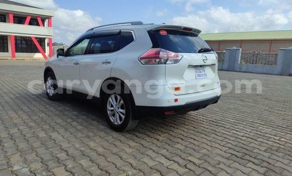 Buy Used Nissan X–Trail Other Car in Blantyre in Malawi Buy Used Nissan X–Trail Other Car in Blantyre in Malawi