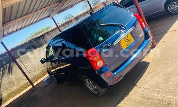Buy Used Toyota Raum Other Car in Blantyre in Malawi Buy Used Toyota Raum Other Car in Blantyre in Malawi