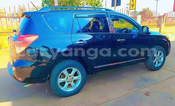 Buy Used Toyota Vanguard Black Car in Chikwawa in Chikwawa Buy Used Toyota Vanguard Black Car in Chikwawa in Chikwawa