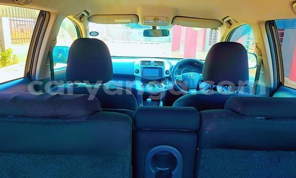 Buy Used Toyota Vanguard Black Car in Chikwawa in Chikwawa Buy Used Toyota Vanguard Black Car in Chikwawa in Chikwawa