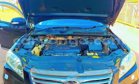 Buy Used Toyota Vanguard Black Car in Chikwawa in Chikwawa Buy Used Toyota Vanguard Black Car in Chikwawa in Chikwawa