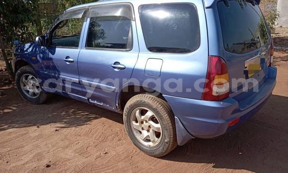 Buy Used Mazda Tribute Blue Car in Chilumba in Karonga Buy Used Mazda Tribute Blue Car in Chilumba in Karonga