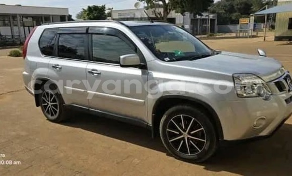 Buy Used Nissan X–Trail Other Car in Blantyre in Malawi Buy Used Nissan X–Trail Other Car in Blantyre in Malawi