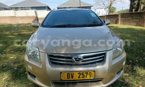 Nunua Ilio tumika Toyota Axio Other Gari ndani ya Lilongwe nchini Malawi Nunua Ilio tumika Toyota Axio Other Gari ndani ya Lilongwe nchini Malawi