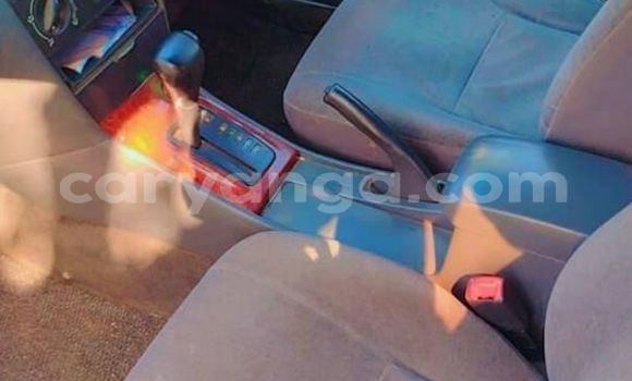 Buy Used Toyota Corolla Other Car in Chitipa in Chitipa Buy Used Toyota Corolla Other Car in Chitipa in Chitipa